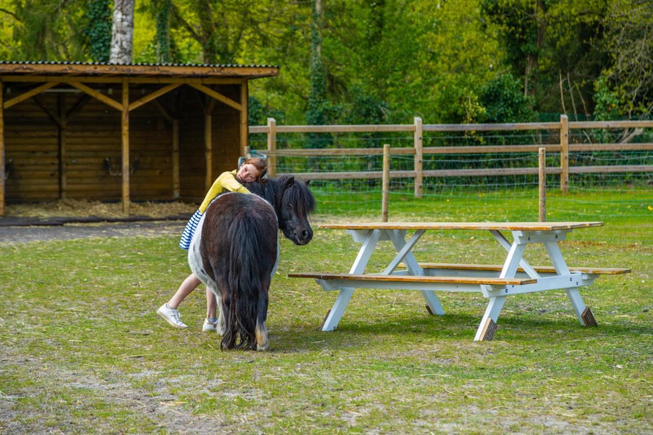 Europarcs Hoge Kempen 주텐달 외부 사진