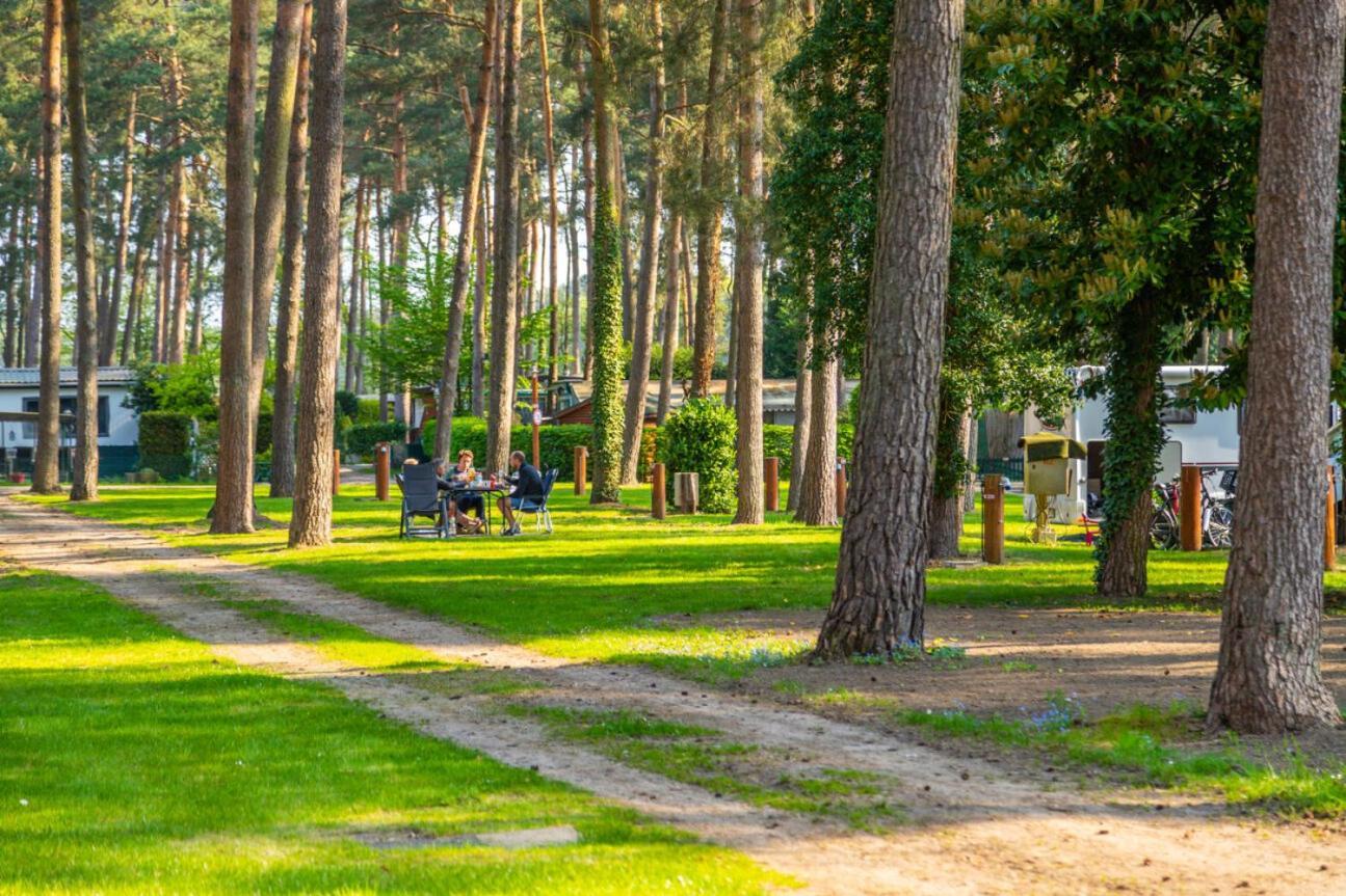 Europarcs Hoge Kempen 주텐달 외부 사진